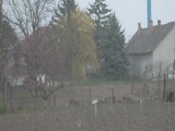 2008.03.25.Hózápor