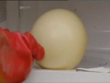 Brainiac-nagy tojás a mikróban