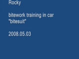 Rocky és az autótolvaj