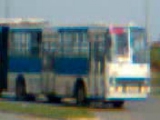 autóbuszok a kertvárosi autóbusz állomáson Pécsett