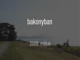 Bakonyban.