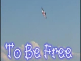 To Be Free