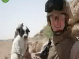 Állatbarátok Irakban