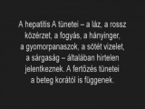 Európai turisták hepatitis A fertőzést kaptak...