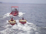 KRK2008/2