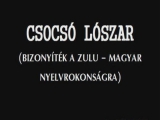 Zulu-Magyar Nyelvrokonság