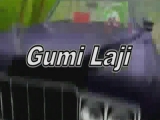 Gumi Laji-RIBI-RIBI-RINGY.....