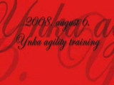 2008. augusztus 06. - Ynka edzés