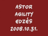 Astor agility edzés 2008.10.31.