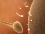 Sperma technika