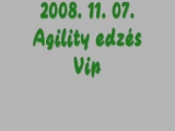 2008. november 07. agility edzés - Vip