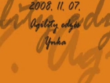 2008. november 07. agility edzés - Ynka