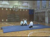 Veszprémi Aikido Klub bemutatója 2008. nov. 3.