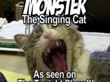 Az Éneklő Macska!