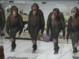 Táncoló majmok