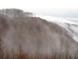 Decemberi köd a Bükk hegységben