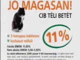 Szívlapát / CIB 11% szpot