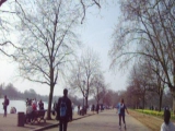 Hyde Park inline