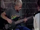 Flea