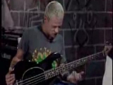 Flea :D