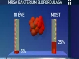 veszélyes antibiotikumok