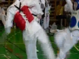 Taekwondo meccs 3