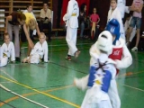 Taekwondo meccs 5