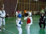 Taekwondo meccs 8