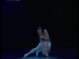 Amazing -Dance