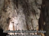 Postojna, Szlovénia - Séta a barlangban