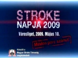 Stroke napja 2009