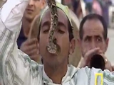 Kígyóbűvölők marokkóban