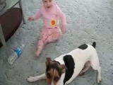 Gyerek harap kutyát