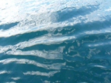 tenger a Lofot-szigeteknél