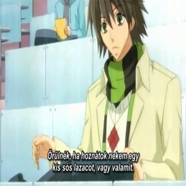 Junjou Romantica 17.rész