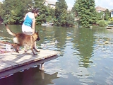 kutya vízi távolugró verseny 1