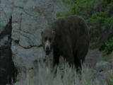 Nigel Marven: Ősvilági kaland 2. rész: Gyapjas...