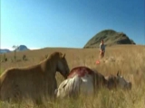 Nigel Marven: Ősvilági kaland 4. rész...