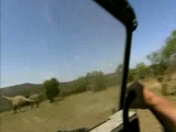Nigel Marven: Ősvilági kaland 6.rész...