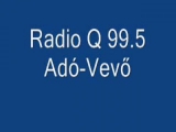 Radio Q 99.5 Adó-Vevő Lóünnep
