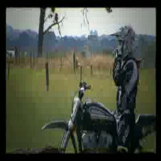 Szaltó Harley-val