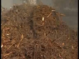 Fűtés biomasszával