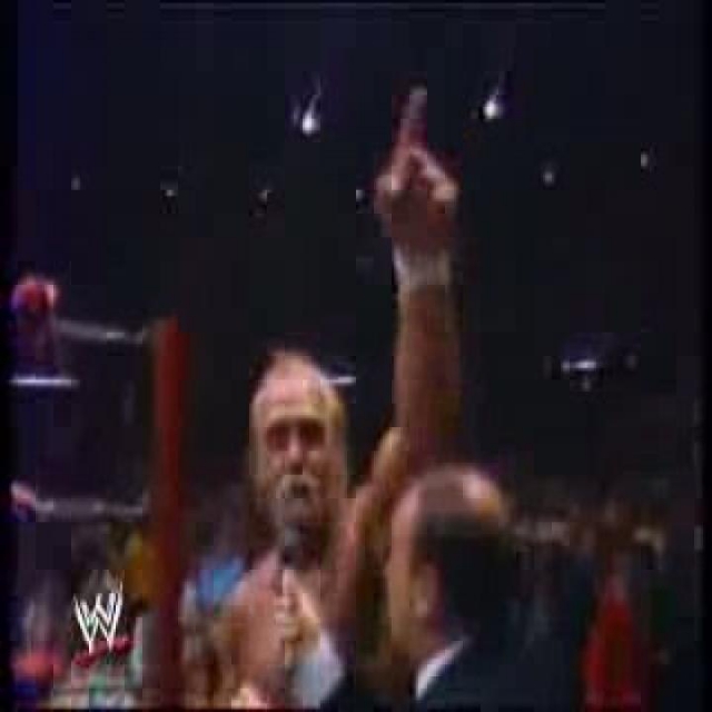 Hulk Hogan