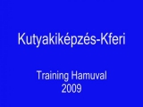 Kutyakiképzés-Kferi Hamu