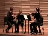 Bartók: 2. vonósnégyes 2. tétel - Olympic Quartet
