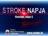 Stroke Napja 2010