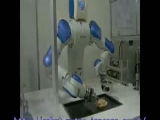 Motoman robot