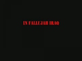 1. tengerészgyalogság Fallujah-ban (16) 2.rész