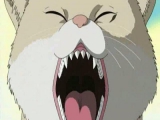 Naruto Shippuuden 33.rész /magyar felirat/