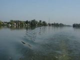 Ráckevei Duna-ág